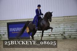 25BUCKEYE_08625 thumbnail