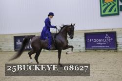 25BUCKEYE_08627 thumbnail