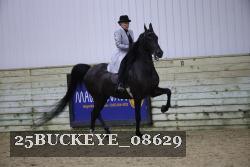 25BUCKEYE_08629 thumbnail