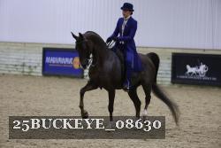 25BUCKEYE_08630 thumbnail