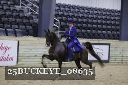 25BUCKEYE_08635 thumbnail