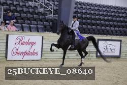 25BUCKEYE_08640 thumbnail