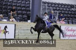 25BUCKEYE_08641 thumbnail