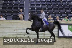 25BUCKEYE_08642 thumbnail