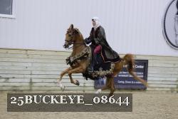 25BUCKEYE_08644 thumbnail