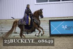 25BUCKEYE_08649 thumbnail