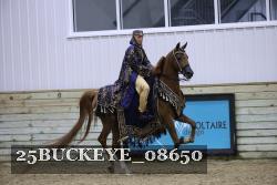 25BUCKEYE_08650 thumbnail