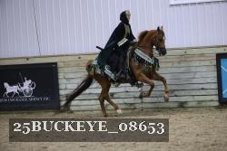 25BUCKEYE_08653 thumbnail