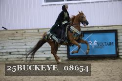 25BUCKEYE_08654 thumbnail