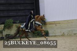 25BUCKEYE_08655 thumbnail