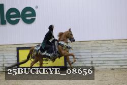 25BUCKEYE_08656 thumbnail