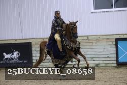 25BUCKEYE_08658 thumbnail