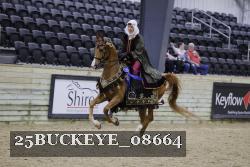 25BUCKEYE_08664 thumbnail