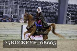 25BUCKEYE_08665 thumbnail