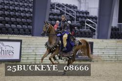 25BUCKEYE_08666 thumbnail