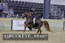 25BUCKEYE_08667 thumbnail