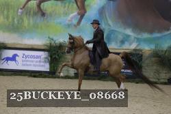 25BUCKEYE_08668 thumbnail