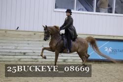 25BUCKEYE_08669 thumbnail
