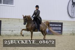 25BUCKEYE_08672 thumbnail