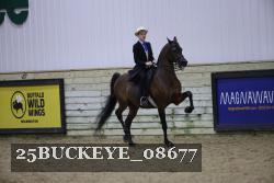 25BUCKEYE_08677 thumbnail