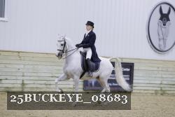 25BUCKEYE_08683 thumbnail