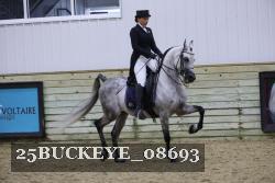 25BUCKEYE_08693 thumbnail