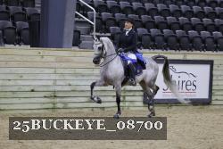 25BUCKEYE_08700 thumbnail