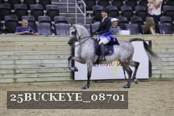 25BUCKEYE_08701 thumbnail