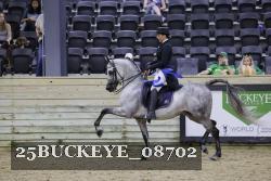25BUCKEYE_08702 thumbnail