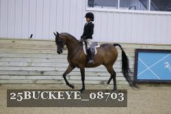 25BUCKEYE_08703 thumbnail