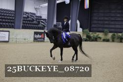 25BUCKEYE_08720 thumbnail
