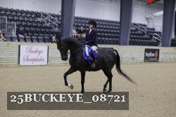 25BUCKEYE_08721 thumbnail