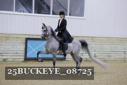 25BUCKEYE_08725 thumbnail