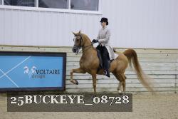 25BUCKEYE_08728 thumbnail