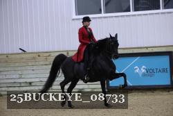 25BUCKEYE_08733 thumbnail