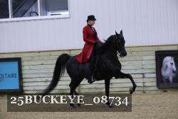25BUCKEYE_08734 thumbnail