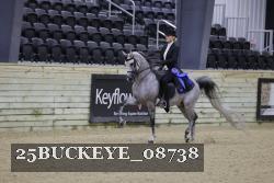 25BUCKEYE_08738 thumbnail