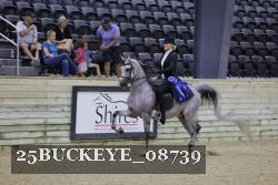 25BUCKEYE_08739 thumbnail