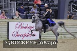 25BUCKEYE_08740 thumbnail