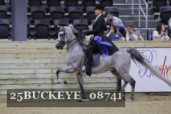 25BUCKEYE_08741 thumbnail