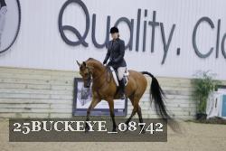 25BUCKEYE_08742 thumbnail