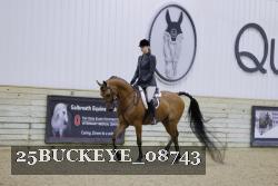 25BUCKEYE_08743 thumbnail