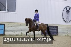 25BUCKEYE_08748 thumbnail