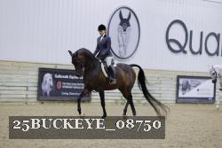 25BUCKEYE_08750 thumbnail