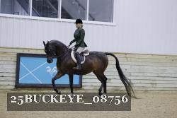 25BUCKEYE_08756 thumbnail