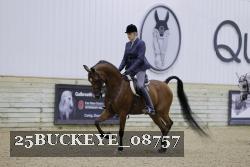 25BUCKEYE_08757 thumbnail