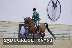 25BUCKEYE_08762 thumbnail