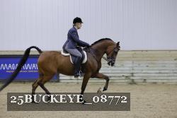 25BUCKEYE_08772 thumbnail