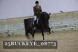 25BUCKEYE_08773 thumbnail