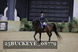 25BUCKEYE_08779 thumbnail